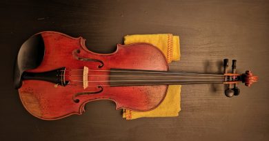 1605-violin-front-1-390×205