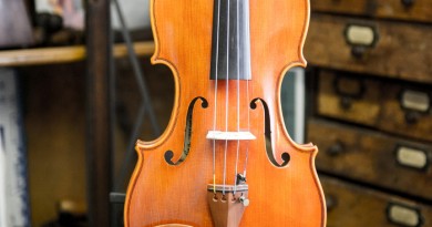 Violin-1502-Front-700-feature-390×205
